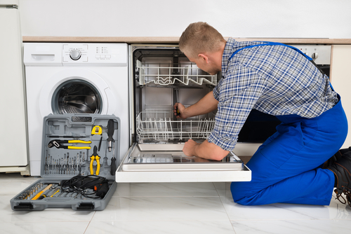 The Importance Of Dishwasher Repair Services Get It Fixed By An Expert