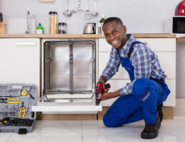 dishwasher repair specialist