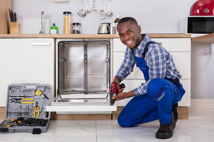 dishwasher repair specialist