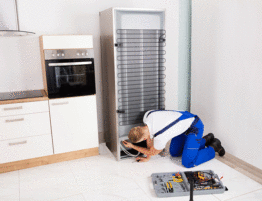 professional appliance repair