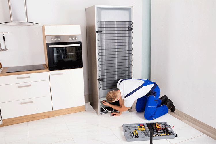 professional appliance repair