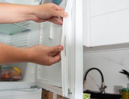 Long-Lasting Appliances