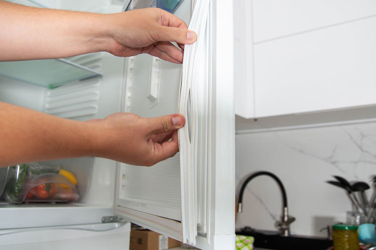 Long-Lasting Appliances